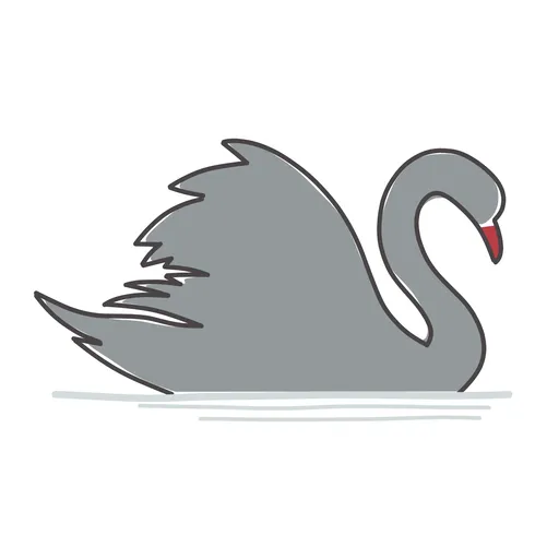 Sketch of Black Swan Event