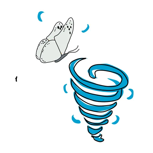 Sketch of Butterfly Effect