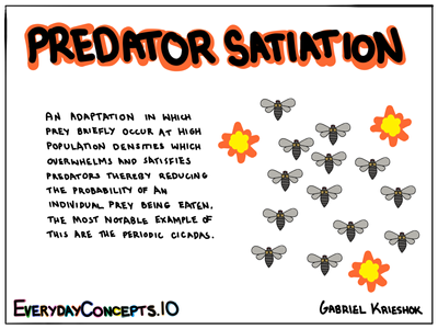 Predator Satiation