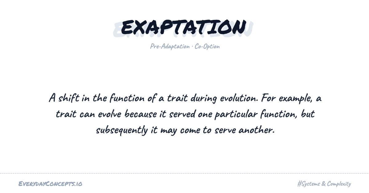Exaptation | Everyday Concepts